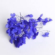 화연양화 프리저브드플라워 수국 1g 30색, 15 퍼플