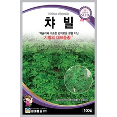 세계종묘 챠빌 100립 허브씨앗, 1개