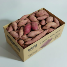 레드이츠 해남 호박 고구마 베니하루카, 1박스, 한입 3kg (20~50g)