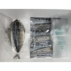 부산고등어 3마리+제주은갈치 9토막 /1.1kg이상 국민생선세트, 1개