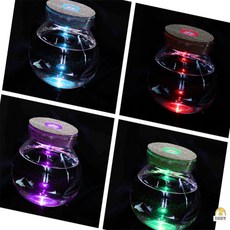 이오디자인 마리모 키우기 LED 코르크 유리병 빈티지화병, 1개