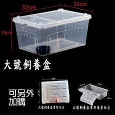 爬蟲飼養盒 大樹盒 透明通風 爬蟲箱 寵物飼養箱 蜥蜴 蜘蛛 飼養盒, 大號飼養盒, 1個