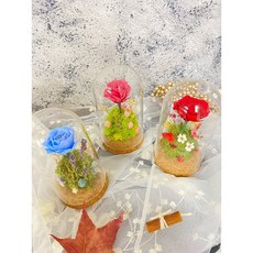 永生玫瑰玻璃罩乾燥花藝術擺飾, 紅色