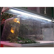 Jump Start JST52 2-Foot 24-Watt T5 점프 스타트, Jump Start JST52 2-Foot 24-Wat