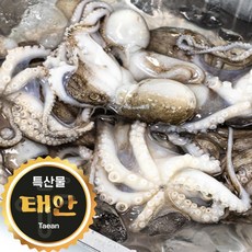 산지직송 살아있는 쭈꾸미 알쭈꾸미 50프로, 1개, 1kg