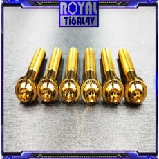 ROYAL 鈦合金螺絲 M10*55F 牙距 P1.25 P1.5 64正鈦螺絲 M10X55, 1個, 皇家紫,P1.5