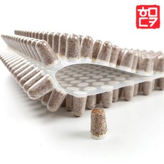 버섯 성형종균 고품질 버섯키우기 표고 느타리, 3세트, 592개, 표고버섯 성형종균