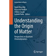 (영문도서) Understanding the Origin of Matter: Perspectives in Quantum Chromodynamics Paperback, Springer, English, 9783030954901