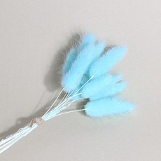 화연양화 프리저브드플라워 선별 라그라스 강아지풀 10개입, 09 스카이