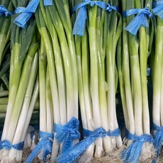농가신선 국내산 흙대파 노지대파 특품 2단 3단 5단, 1개, 2kg
