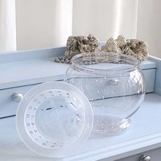 고투명 플라스틱 수경재배 화분