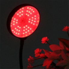 이유짱 광합성 LED 식물등 LED식물