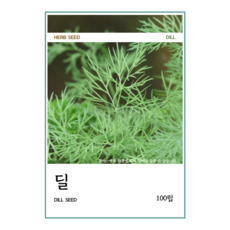 허브 씨앗, 1개, 3.  H03 딜 (100립)