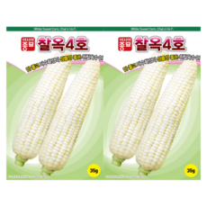 농업마켓365 아시아종묘 옥수수 찰옥4호 35g 옥수수씨앗 옥수수종자, 2개