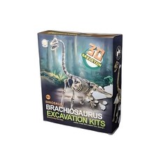 고대생물 화석발굴 체험키트 공룡화석 대 돌봄교실 공룡발굴키트 어린이과학, 1세트, 브라키오사우루스