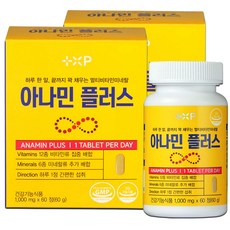 아나민 플러스 비타민 씨 앤 디 복합 프리미엄 영양제 정 여성 남성 피곤할때 골드 하루한알 로, 2세트, 60정
