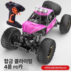 RC카 알씨카 무선조종 선물 오프로드 레이싱 입문용 자동차 컨트롤, 1세트, 1개, 핑크 28cm 합금 4륜 구동+라이트