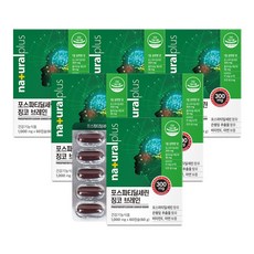 내츄럴플러스 포스파티딜세린 징코 브레인, 60정, 6개