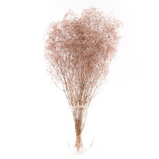 [데코몰] 프리저브드 플라워 미니 안개 파우더, 로즈