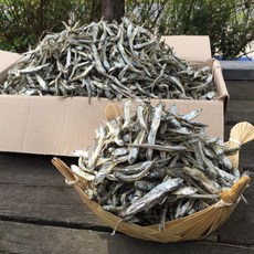 신건호멸치 안주/조림용 고바멸치(상급) / 고추장멸치 볶음멸치, 1.5kg, 1개