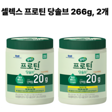 셀렉스 프로틴 당솔브 266g 2개