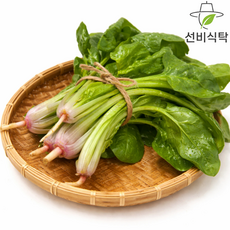 [폭탄할인]남해시금치 500g 1kg 2kg, 500g X 1개