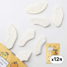 [국내산 좋은 원물] 비프룻 사르르 동결건조과일 배, 12개, 15g