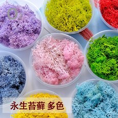 永生苔蘚蓬萊松DIY花材組，聖誕花藝玻璃罩裝飾材料，壽松乾燥花材, ❰灰色❱苔癬(10g),實際份量以選項為主