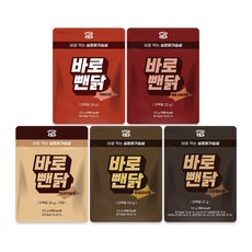 뺀닭 실온닭가슴살 바로뺀닭 5종 혼합 세트, 30개, 120g