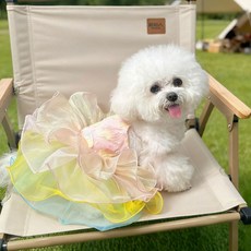 i豆寵物生活館 狗狗衣服網紅同款貓咪彩虹蝴蝶炫彩蓬蓬小型犬比熊泰迪寵物公主裙, CW4【甜心幻彩】萌寶裙,M, 1個