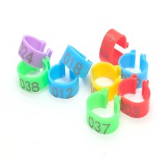 세트 소동물용품 발목링 컬러