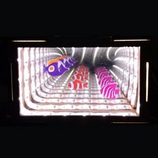 과학놀이 무한거울 마술상자 만들기, 1개