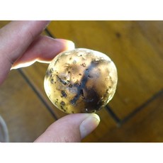 §能量礦石§ 印尼隕石河川滾石拋光 Agni Manitite 火山玻璃 72.78克 俗稱印尼天狼星 烈火石 黑隕石, 1個