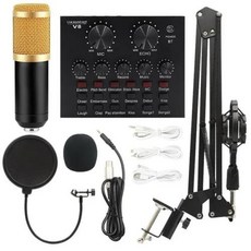 Bm800 콘덴서 마이크 V8 휴대폰 사운드 카드 앵커 컴퓨터 녹음 스탠드 라이브 스트리밍 온라인 USB 캔틸레버 브래킷 고품질 커패시터 마이크 선명한 픽업 HIFI 사운드 카드, 1) Gold Mic Set