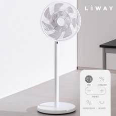 리웨이 무소음 BLDC선풍기 아기 원룸 리모컨 가정용 선풍기, LWDC12R