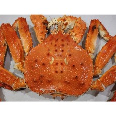러시아 블루 킹크랩 자숙 대게 속살 가득, 1개, 2kg