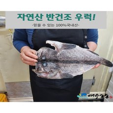 자연산 반건조 우럭 1미 400g 이상 35cm 내외 국내산, 1개
