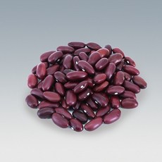 강낭콩씨앗(100g) K0413