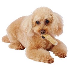 Petio寵物咖啡咬木 狗玩具 狗磨牙 耐咬潔牙, 1個