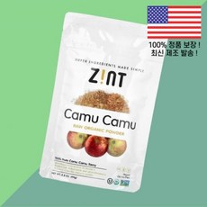 진트 로우 카무카무 파우더 가루 분말 3.5온스 99g Zint Raw Organic Camu Powder 3.5oz, 1개