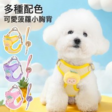 狗狗牽引繩泰迪牽引繩比熊胸揹帶狗繩子中小型犬遛狗繩寵物用品, 1個, 單獨繩子