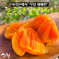 지리산 800 고지 산청에서 만드는 비교불가 감말랭이)) 홍시처럼 촉촉하고 말랑한 속살 부드러운 (바짝말린X 질김X) 홍시 감말랭이 ((홍시말랭이)) 오픈기념 홍시용 감 증정!!, 1개, 1kg