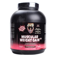 HEALTHY 'N FIT 增肌 v3.0, 濃郁的牛奶巧克力, 2000克