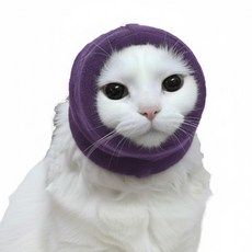 디마펫 코지이어 반려동물 강아지 고양이 진정밴드, 1개, 퍼플