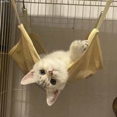 貓吊床夏款透氣貓鞦韆 貓籠掛床 掛式通用籠子 通用網格夏款鞦韆, 1個