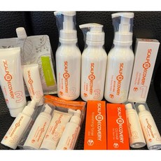 髮基因 Scalp Recovery 旅行組 甦活淨化洗髮水慕斯 冰鎮護理素 控油平衡露, 1個, 髮基因  頭皮保濕噴霧【控油平衡露】