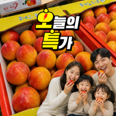 [오늘만특가] 산지직송 고당도 도담자두, 1박스, 2kg
