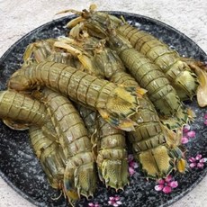 국내산 냉동 갯가재 1kg, 1박스, 1000g
