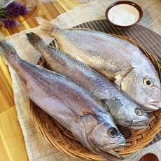 제수용생선 세트 반건조 침조기 참돔 참민어 세트(부산 망미중앙시장 부자생선), 침조기+참민어+참돔 소, 1세트