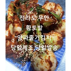 전라도 김치.당일 생제조당일 발송 (양파줄기김치) 1kg 2kg 3kg 5kg, 1개
